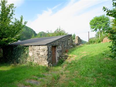 Picture 31